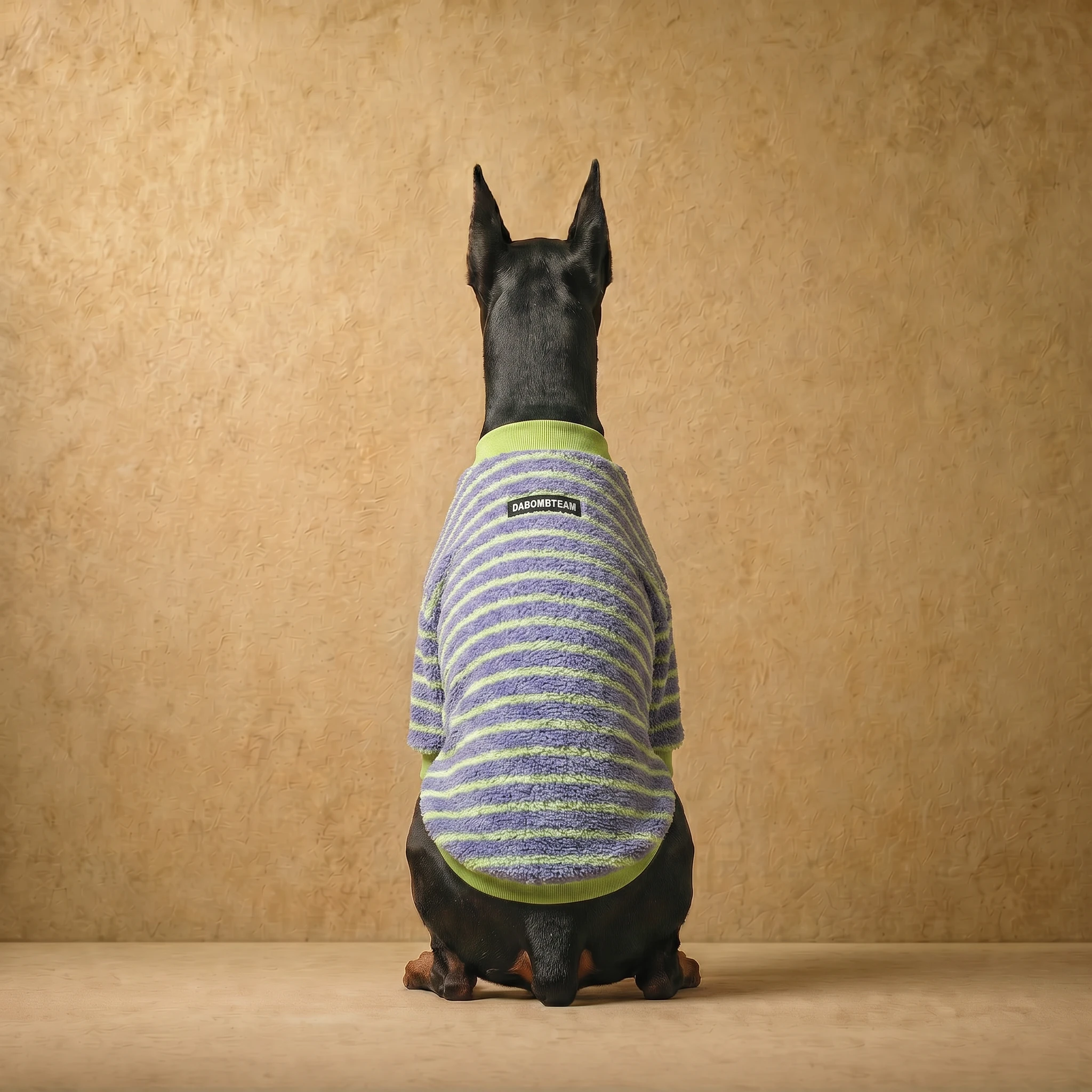 Doberman in a purple and lime striped fleece sweater, back view, showcasing close athletic fit and deep chest coverage, soft high-density polar fleece, clean neutral tone, clothes that fit dobermans