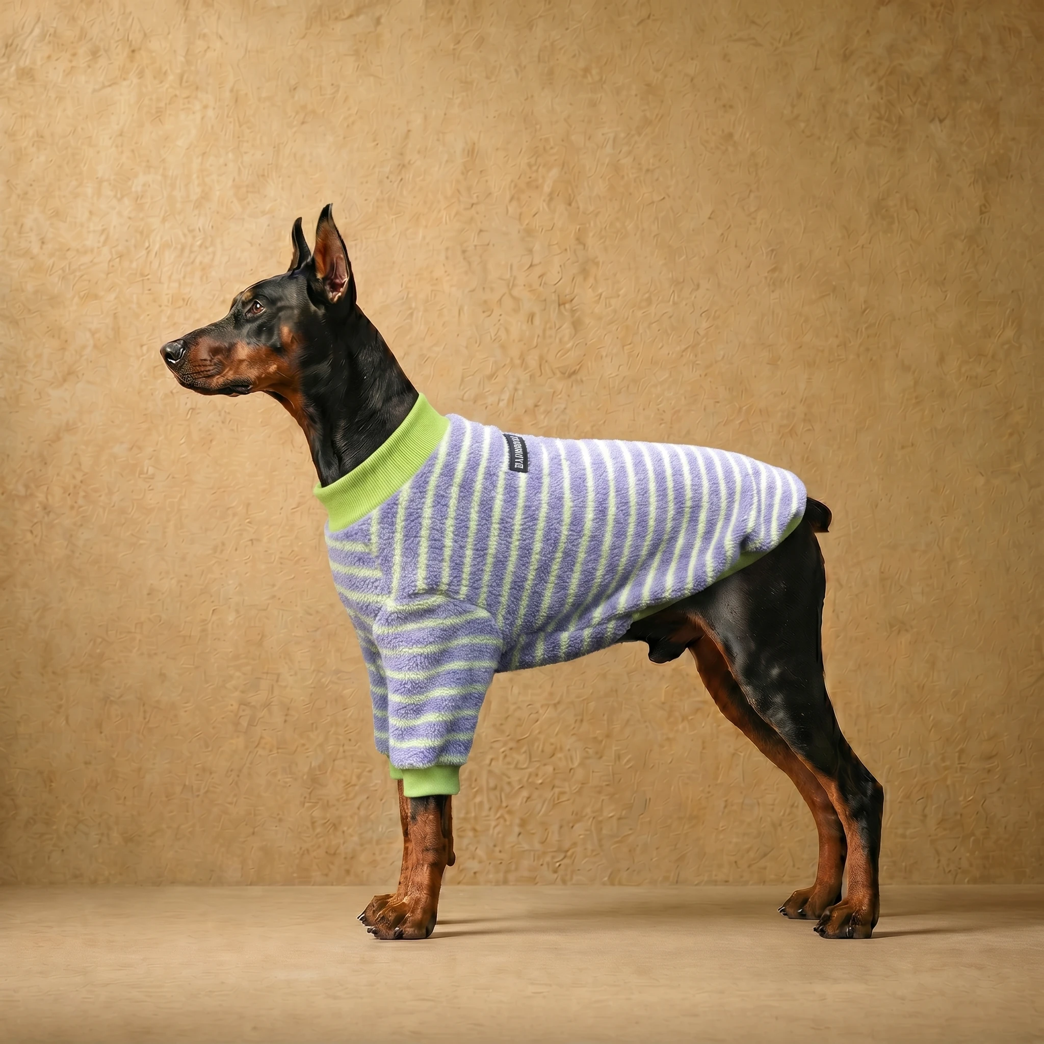 Doberman in a purple and lime striped fleece sweater with a snug athletic fit, showcasing deep-chested dog apparel in soft polar fleece for warmth and mobility.