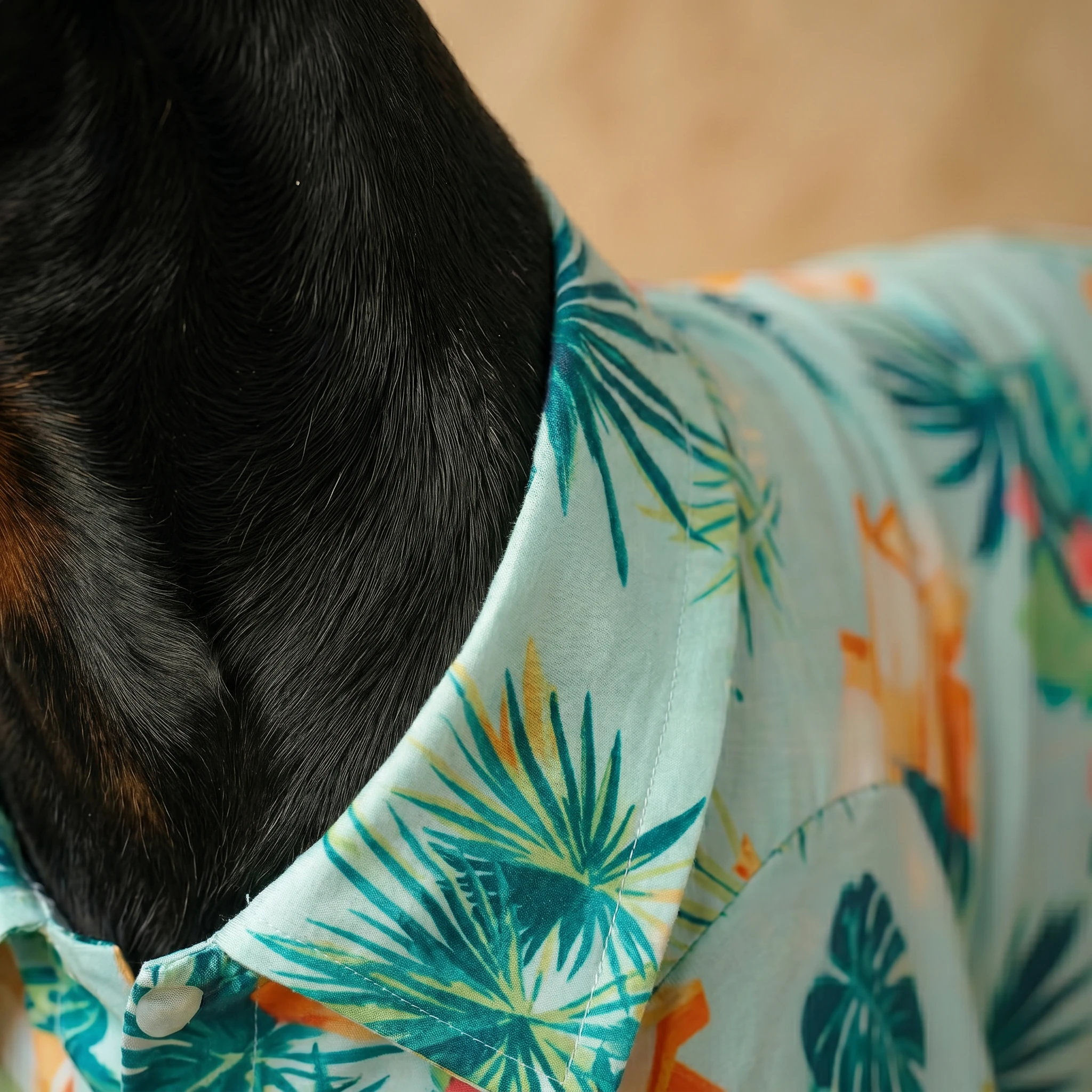 Lightweight tropical shirt for deep-chested dogs, showing airy fabric texture and tropical print on a Doberman’s back under soft natural light.