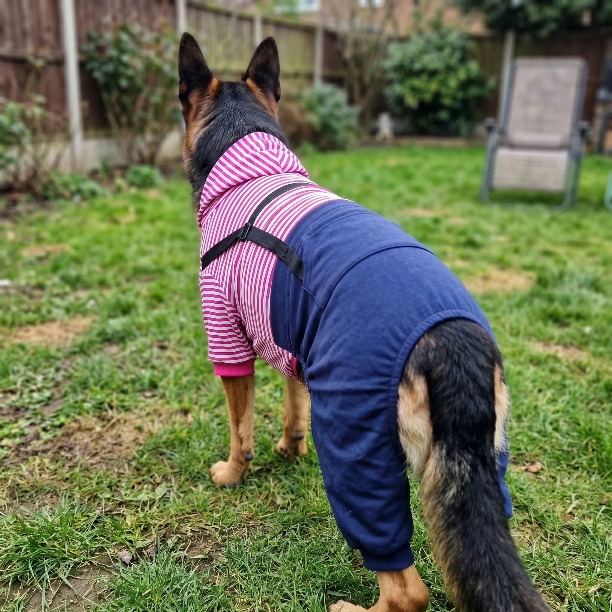 NookPaws™ Doberman Full-Coverage Layer review by David P.