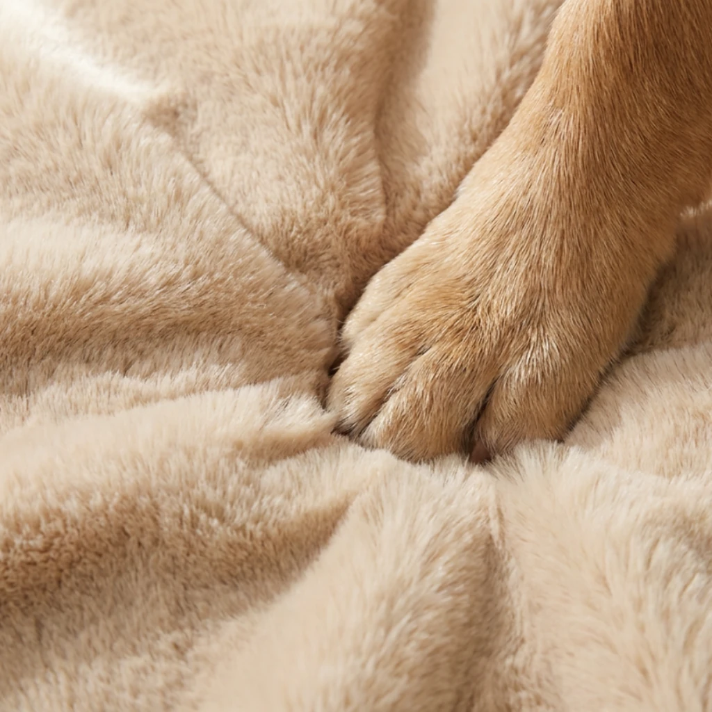 Soft beige plush rug with cloud-like texture, gently cradling a dog’s paw in a moment of calm, harmonious pet living.