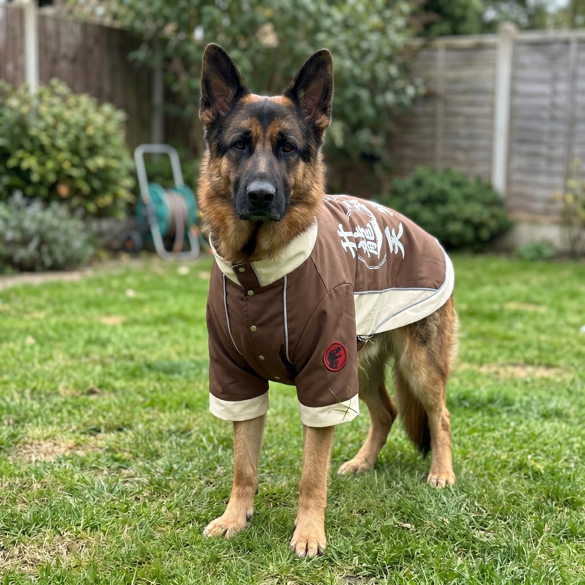 NookPaws™ Doberman Winter Coat review by Chloe P.