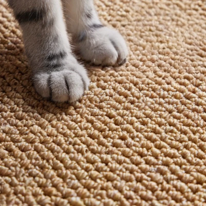 Soft beige woven rug with textured loops, featuring a cat’s paws resting gently—ideal for harmonious pet living.