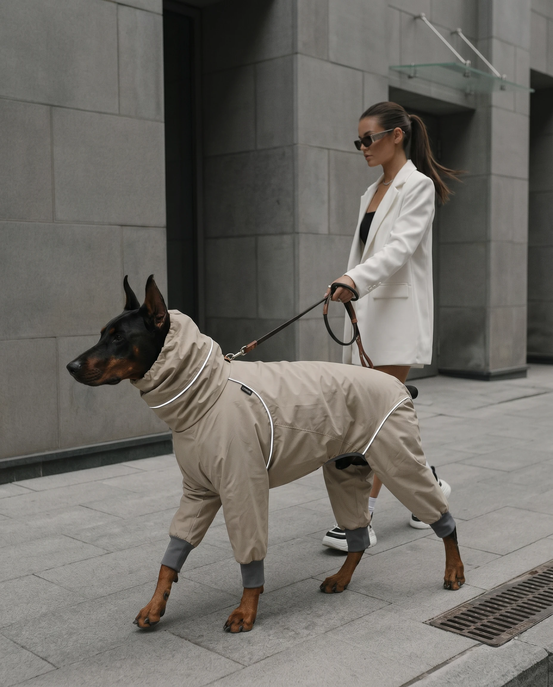 Doberman in beige waterproof raincoat with leg coverage, walking urban sidewalk in neutral light; minimalist design for deep-chested breeds, smooth fabric with white piping, calm city ambiance