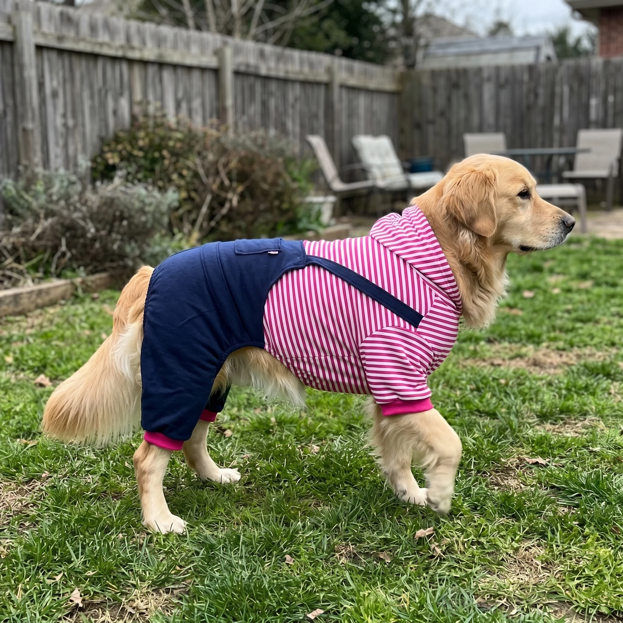 NookPaws™ Doberman Full-Coverage Layer review by Julian W.