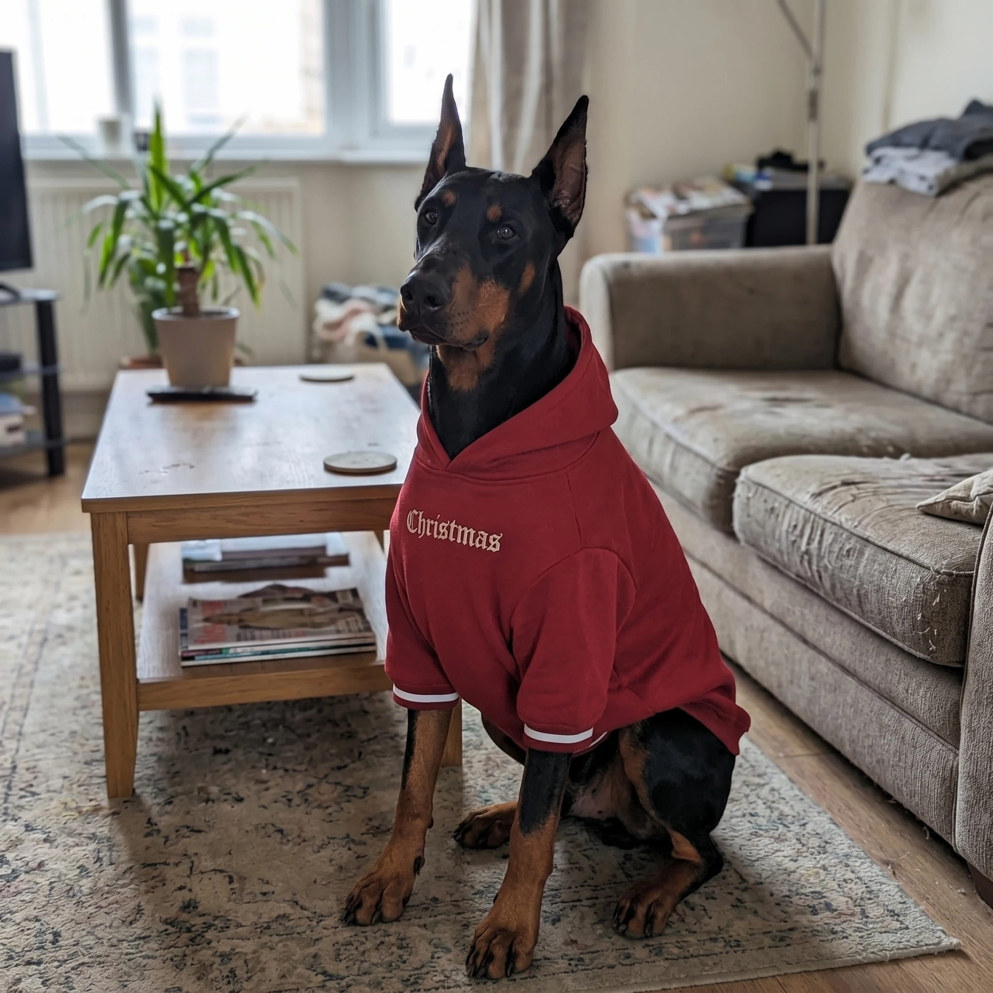NookPaws™ Doberman Fleece Hoodie review by Marcus R.