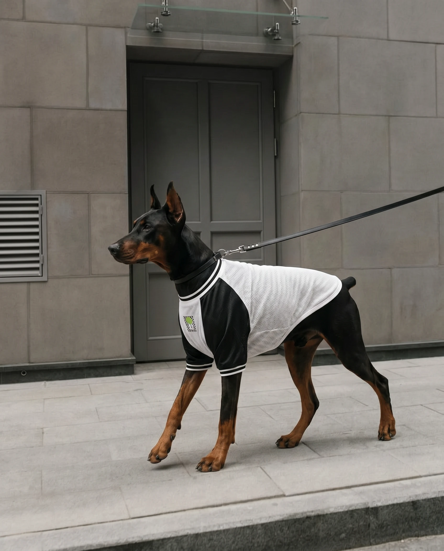 NookPaws Deep Chest Sherpa Sweater on Doberman — soft high-pile fleece in minimalist design, warm & flexible for large breeds, photographed in soft studio light with muted tones.